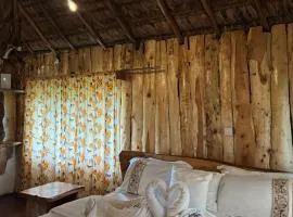 Podocarpus Cottages -02