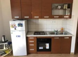 Apartmani Villa Borzic - One Bedroom Apt with Terrace & Sea View