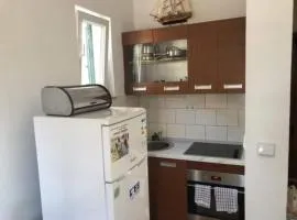 Apartmani Villa Borzic - One Bedroom Apt with Terarce & Sea View