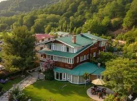 HOTEL METROPOLIS SRINAGAR