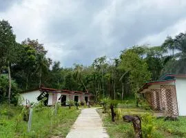 Kohmook Timberland Resort from Seaview