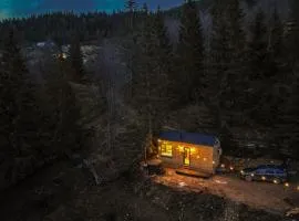 TogetherNest - Cedar