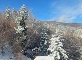 Villa Gold, ξενώνας σε Γιαρέμτσε