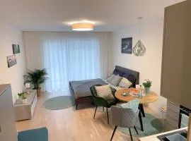 Nice apartment with free parking