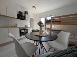 Two Studios in Central Sesvete