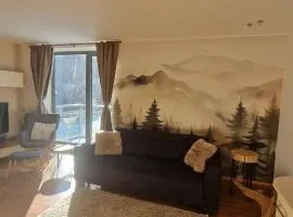 Apartment Mumlava falls