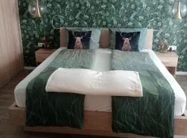 Maurers Schlierseetraum 1 hochwertige Erdgeschosswohnung mit allen Raffinessen erfreut sich auch Urlauber idealerweise für Paar mit Kindern geeignet und Vierbeiner Dank des tollen Zauns auf der Terrasse stylisch und edel von der Ausstattung mit 64 qm