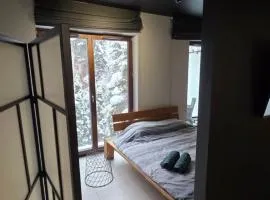 Design Vistula old town apartment free parking