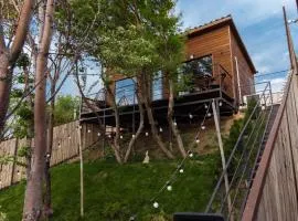 Secluded Cabins with Mountain & Sunset Views
