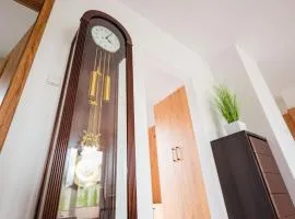 Beskid Penthouse Milówka