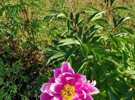 Dessans Amerikan Robe, hotel in Pajala