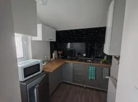 Apartament "Jeleń" Jelenia Góra - Cieplice