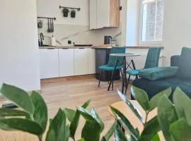 Apartament Moniuszko