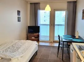 Cozy studio apartment near the city center