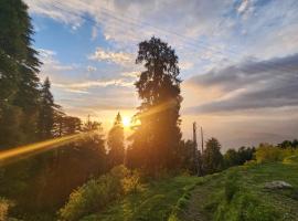 Smarthill-Green Forest View, hotel en Dalhousie