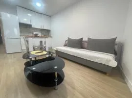 Céntrico apartamento muralla 1