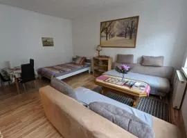 Gemütliche zentrale Wohnung