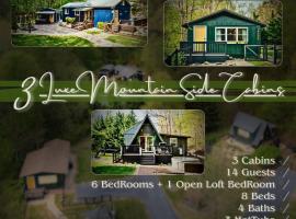 Trio Luxe Mountainside Oasis, ξενοδοχείο σε Fairview