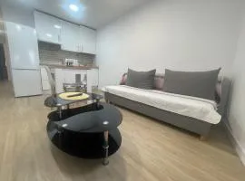 Céntrico apartamento muralla 2