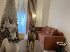 Class Elite Apartment