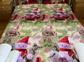 Garsonieră Brazda lui Novac