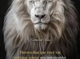 Aconchego da Família de Oliveira