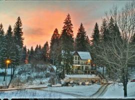 Vila Cristalfrost, hotel v destinaci Poiana Brašov