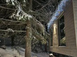 Debri family Ворохта