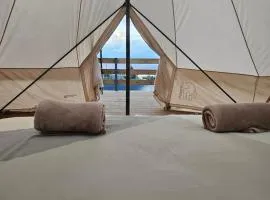 Au coeur des plantations