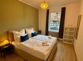 Zentrumsnah - gemütliches Apartment im Ringgebiet