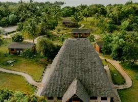 Signature Collections by Eight Continents