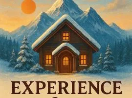 Experience - Suite