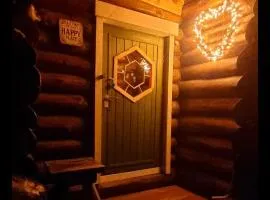 Cozy little log cabin, dog allowed, sauna