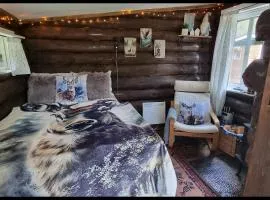 Cozy little log cabin, dog allowed, sauna