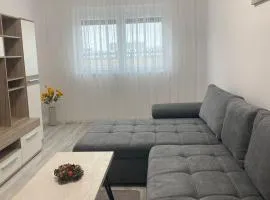 Two modern apartments