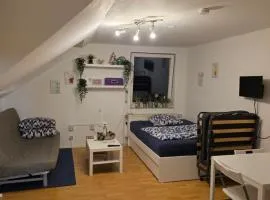 Business-Travel-Apartment & Ferienwohnung Münster, Check-In von 15 bis 22 Uhr möglich