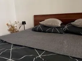 Garsoniera moderna, spatioasa, Complex Ferval