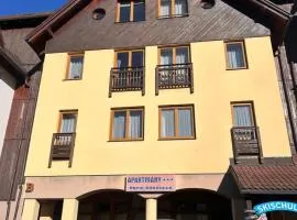 Apartmán pod sjezdovkou Lysá Hora Horní náměstí Ski Lumi