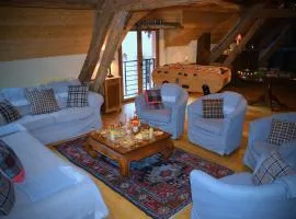 Cottage Mackinley, séjour spacieux et chaleureux, salon de jeux, grande salle à manger, contes,15 pers, Centre Historique, gare TER