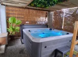 Gîte, jacuzzi & vin au grenier de Madiran