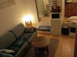 logement Mezzanine salon indépendant