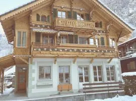 Lauterbrunnen Beautiful Staubbach apartment in a charming Chalet