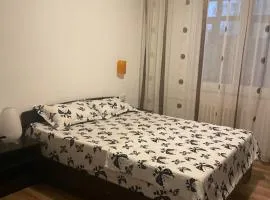 Apartament Centru