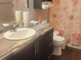 One Bedroom Basement Suite