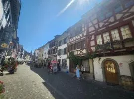 Zur Geduld, Historic Oldtown House