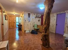 Hostal Aves del Sur Coñaripe