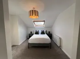 The Bluebird B&B III