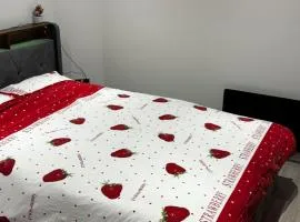 Mordern Garden ensuite room