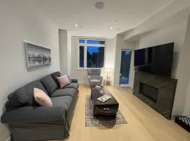 Brand New Chic Townhouse in Toronto close to Yonge