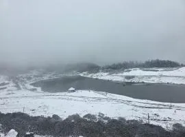 Tawang Hostel and Bike rent